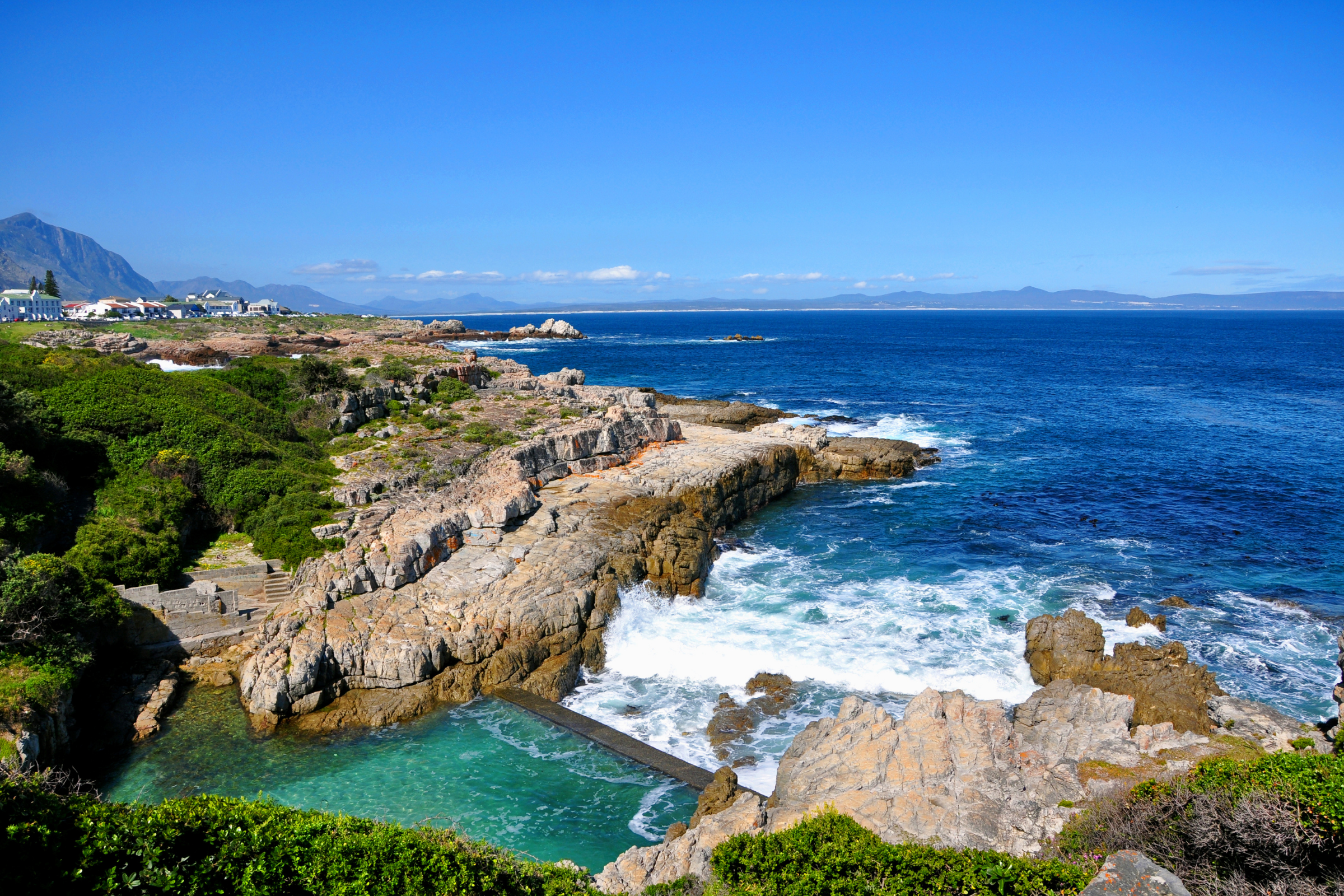 hermanus (3).webp